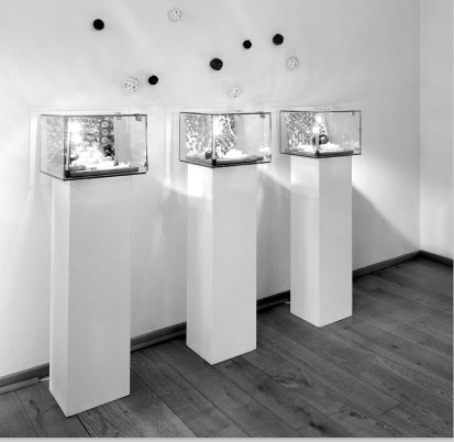 Goldschmiede Klaudia Magyar - Schmuck in Aachen